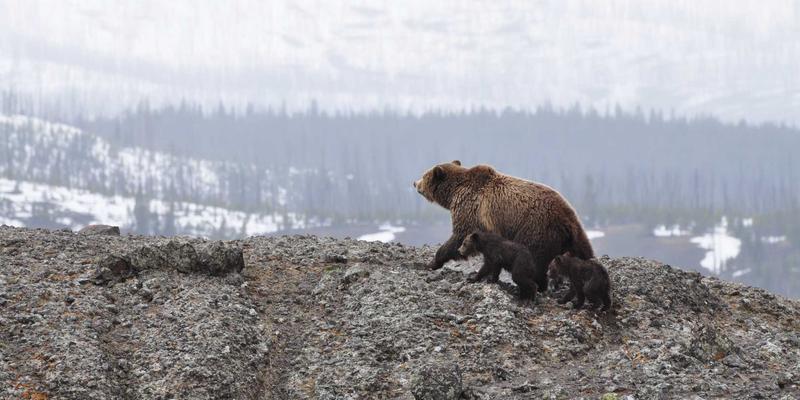 从铸造到精密制造：工业阀门生产案例分析及技术演进