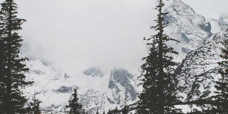 工业阀门铸造中合金元素偏析的深度解析：对机械性能的关键影响与波西米亚风格工艺的启示