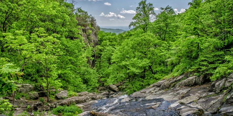 工业阀门铸造的艺术与科学：从波西米亚风格模型到大型铸件清砂的完整解决方案