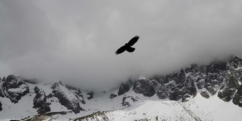 波西米亚风格与工业韧性的交响：低温阀门铸造的材料与工艺挑战
