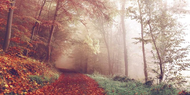 铸造工艺的艺术与科学：大型阀门铸件浇注系统设计与凝固过程优化策略