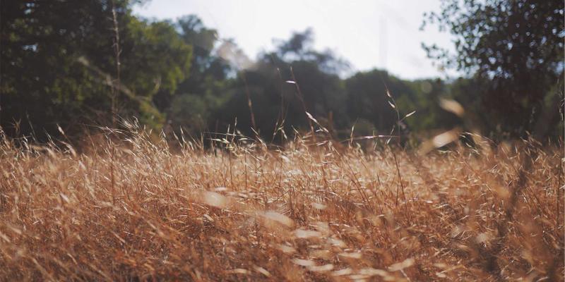 阀门铸件无损检测技术深度解析：射线、超声与工业CT在阀门制造中的应用场景对比
