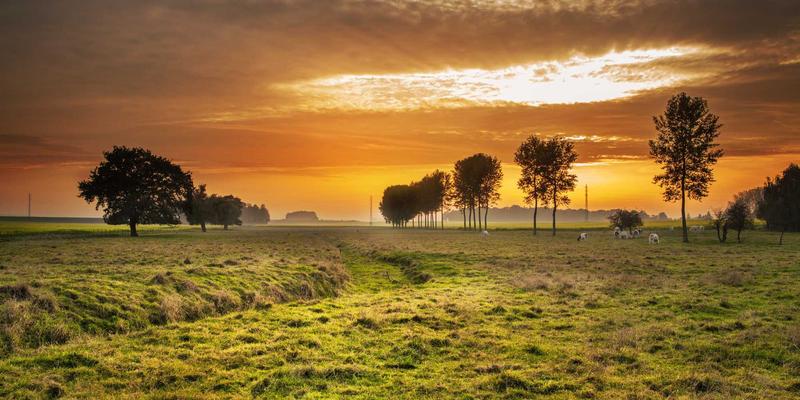 阀门铸造66：揭秘核心铸造工艺与现代化阀门生产流程