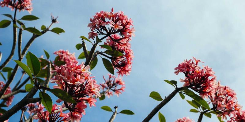 阀门铸造75：工业阀门制造的基石工艺与未来演进