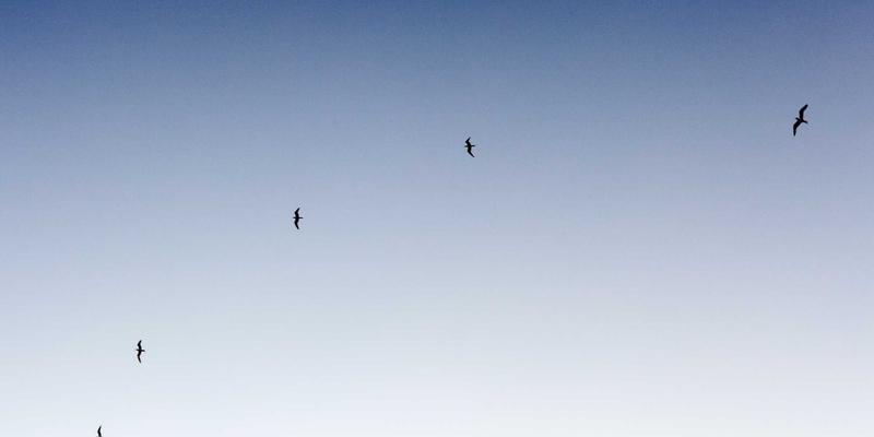 阀门铸造90：当工业精密铸造邂逅波西米亚艺术风格