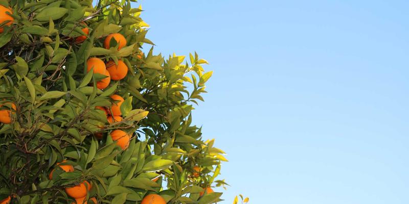 阀门铸造工艺进阶：铬铁矿砂、锆砂与宝珠砂的高温抗粘砂性能深度对比与应用选择