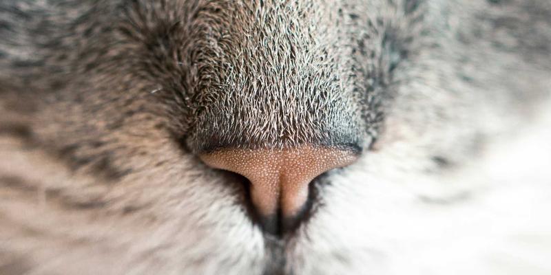 阀门铸造用特种合金材料解析：如何为极端工况选择最优材料组合